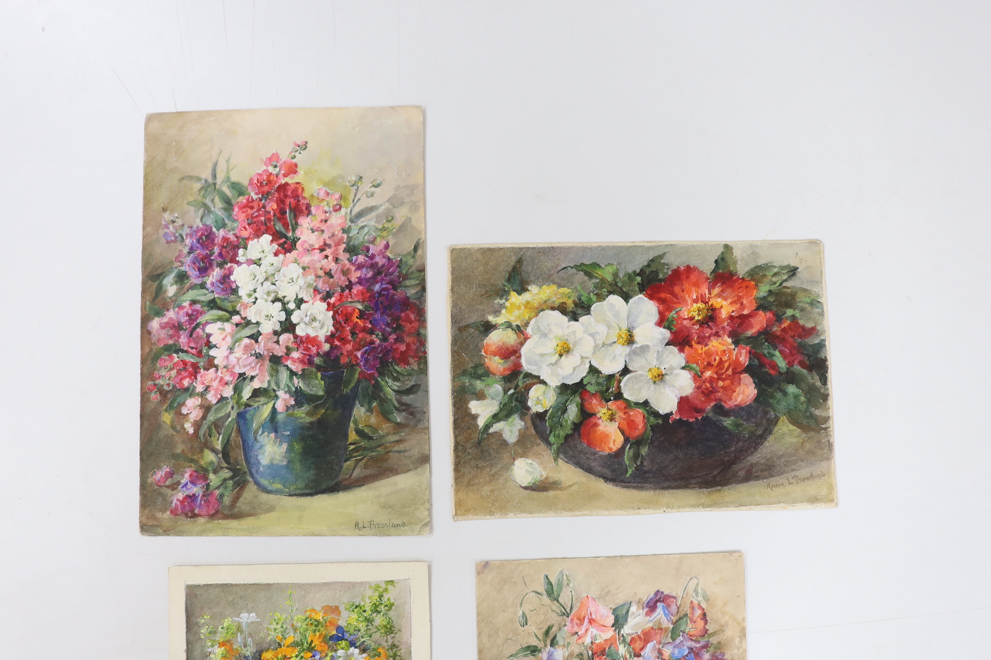 Annie Pressland (1862-1933), four watercolours on card, Begonias, Sweet Peas, Wallflowers and Stocks, two signed, largest 29 x 19cm, unframed